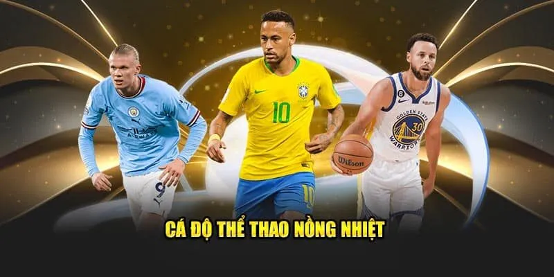Cá độ thể thao nồng nhiệt