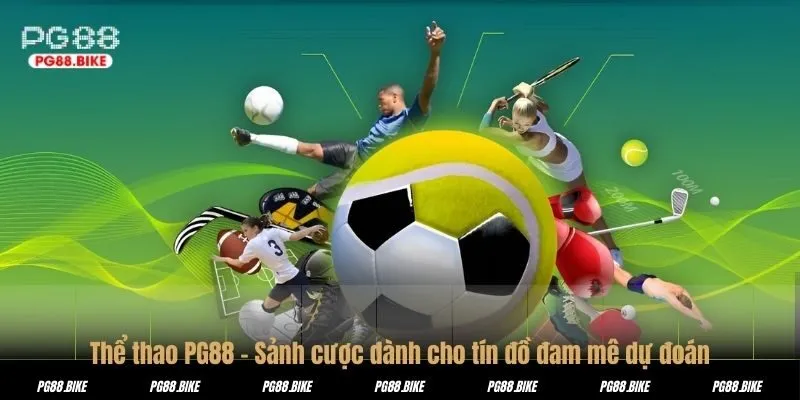 Thể thao PG88 – Sảnh cược dành cho tín đồ đam mê dự đoán